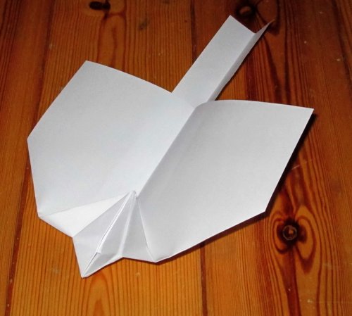 Paper-plane.jpg