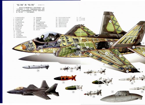 Chinese J-31.jpg