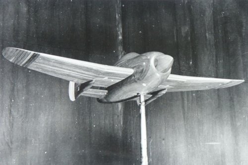 Wind tunnel model.jpg