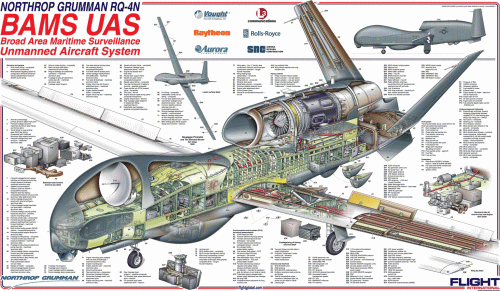 NG-BAMS-UAS.gif