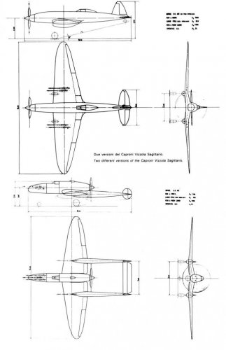 Caproni Vizzola dive bomber.JPG