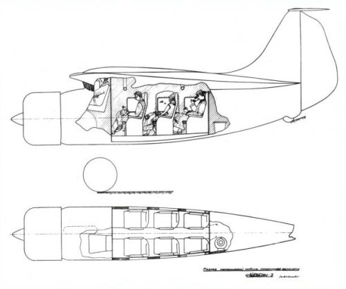 Aviavnito TsAGI-3..jpg