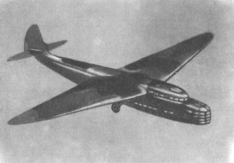 Moskalyev glider.jpg