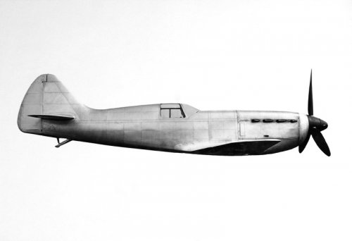 D.550.jpg