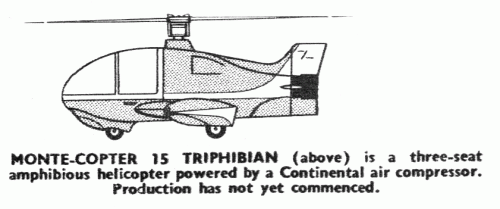 Monte-Copter 15 Triphibian.gif