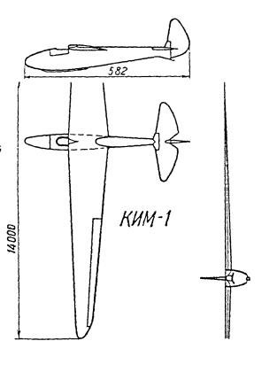 KIM-1.JPG