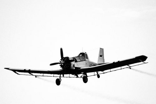 PZL-Mielec M-18 Dromader [2].jpg