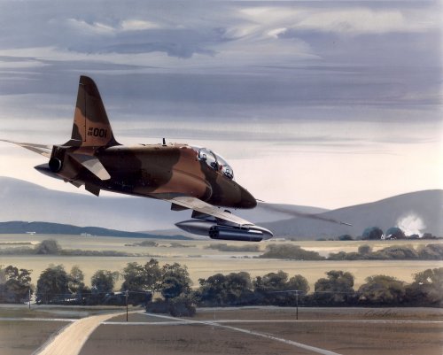 USAF Hawk.jpg
