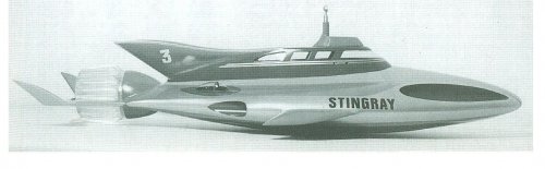 Stingray 004.jpg
