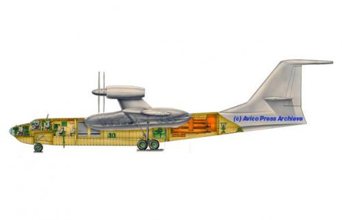 Be-26 cutaway.jpg