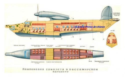 Be-18 passenger variant.jpg