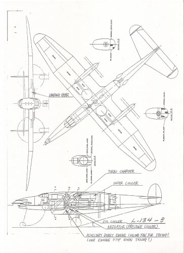 L-134-3.jpg
