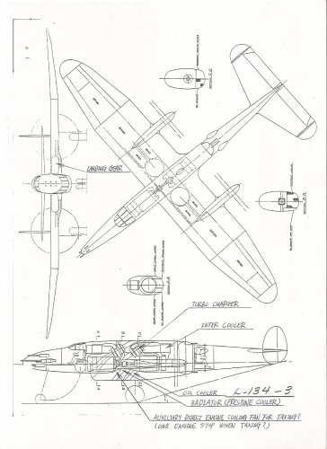 L-134-3.jpg