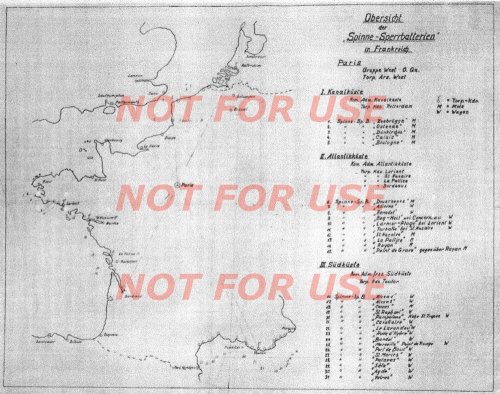 Spinne_France.jpg