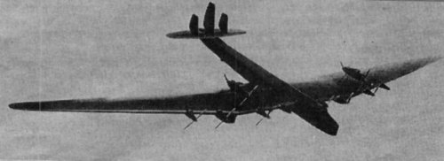 ANT-28.jpg