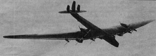 ANT-28.jpg