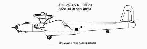 ANT - 26 (2).jpg