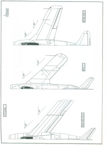 German flying wings 001.jpg