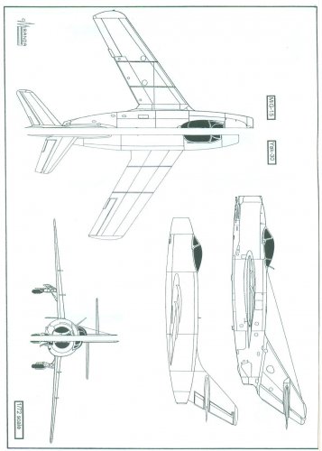 German flying wings 002.jpg