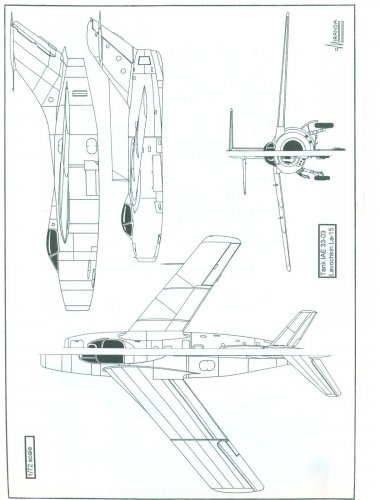 German flying wings 003.jpg