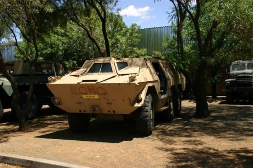 Ratel_ar_mus02.jpg