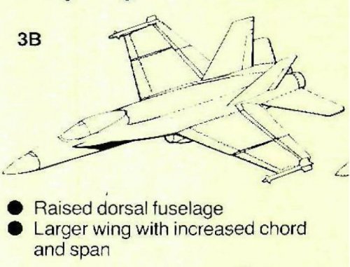 Hornet 2000  IIIB.JPG