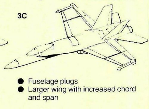 Hornet 2000  IIIC.JPG