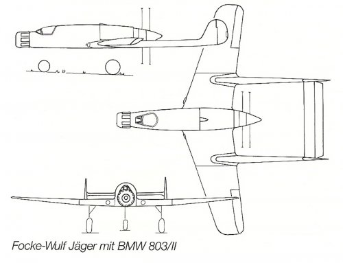 FW BMW803 fighter.jpg