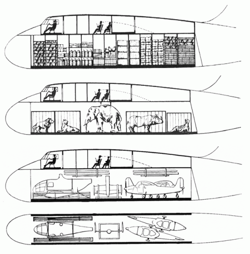 Cormoran cabin arrangement.gif