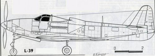 L-39  long.jpg