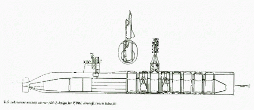 aan2drawingcu.gif