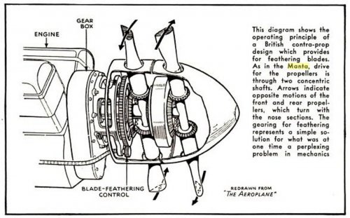 MANTA 6.jpg