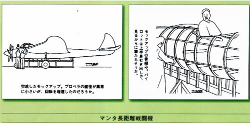 Manta long range fighter.jpg