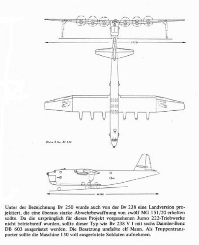 BV.250.JPG