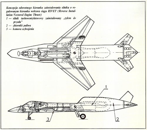 RIVET-1.jpg