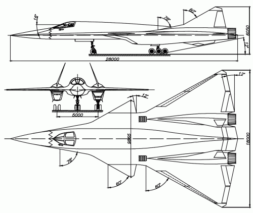 general view of the aircraft.gif