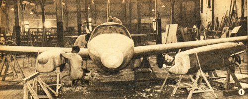 hukuta-hitati-HT3-glider pic1.jpg