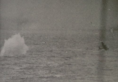 still-3.jpg