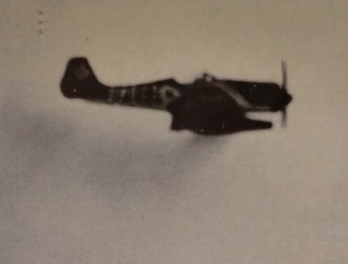 Fw-190_BT-1400_02.jpg