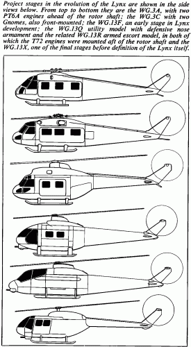 Lynx variants.gif