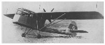 unknown Focke.jpg