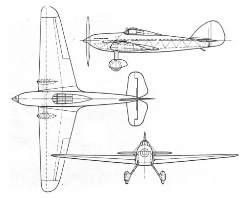 Fury Monoplane 1.jpg
