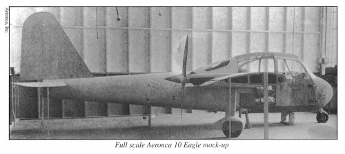 Eagle_02s.jpg