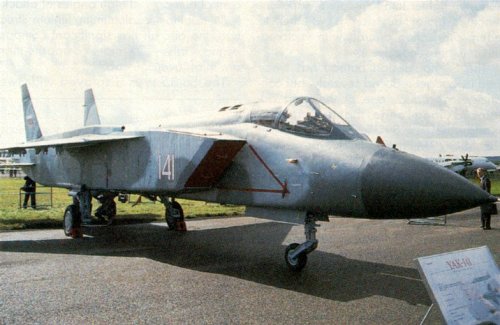 Yak 141_1.jpg