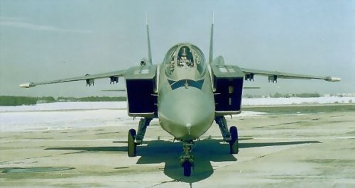 yak141_002.jpg