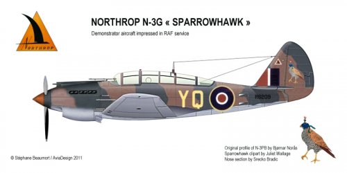 northrop-sparrowhawk.jpg
