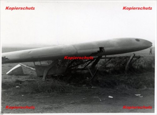 hortenho13s2.jpg