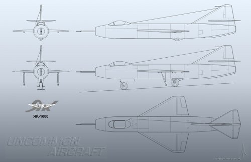 yak-1000_11.jpg