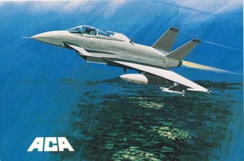 ACA-2 (2).jpg