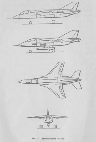 Jaguar.JPG